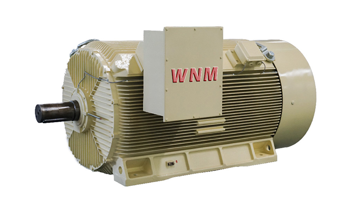 Y2系列高壓三相異步電動機 Y2系列高壓三相異步電動機
