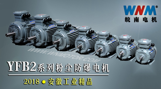 YFB2系列粉塵防爆型電機入選2018年安徽工業精品名單 YFB2系列粉塵防爆型電機入選2018年安徽工業精品名單