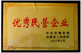 皖南電機：優秀民營企業