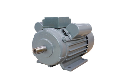 YL系列雙值電容異步電動(dòng)機(jī) YL系列雙值電容異步電動(dòng)機(jī)